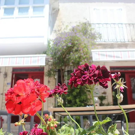 Salyangoz B&B 알라카티